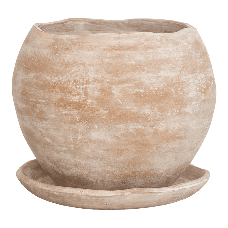 Urban Nature Culture | Pot Terra