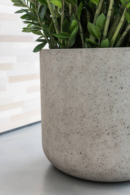 Jumbo Charlie M, Ivory Washed