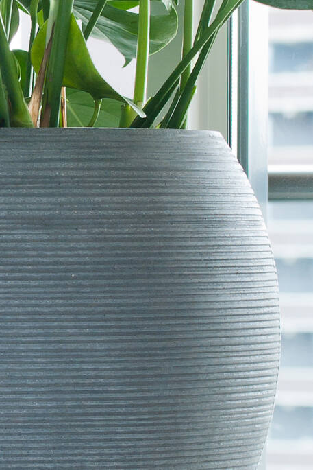 Abby L, Dark Grey (horiz. ridg.)