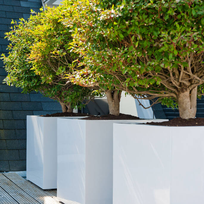 Block XL, Glossy White