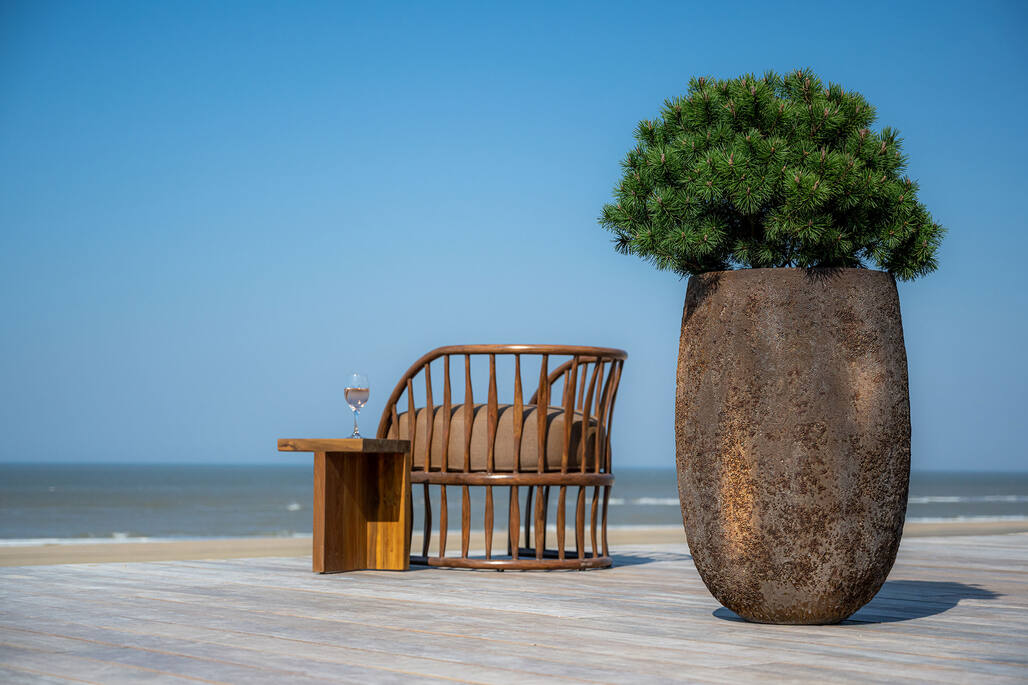 Belon L, Imperial Brown