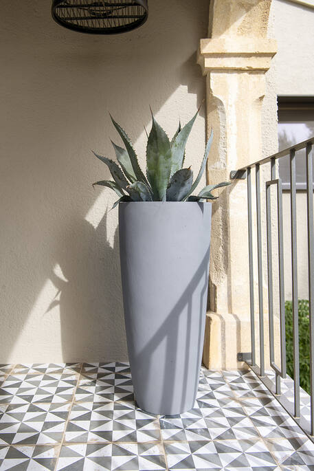 Dax L, Grey