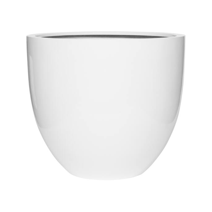 Jesslyn L, Glossy White