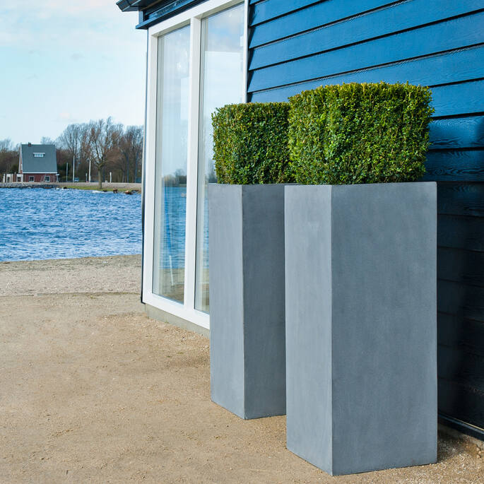 Bouvy XL, Grey