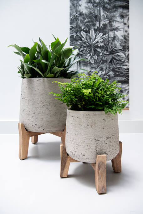 Patt XXL (Feet Low), Grey Washed