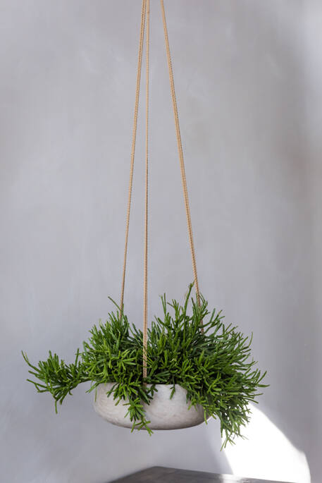 Eileen M (hanging) Grey Washed