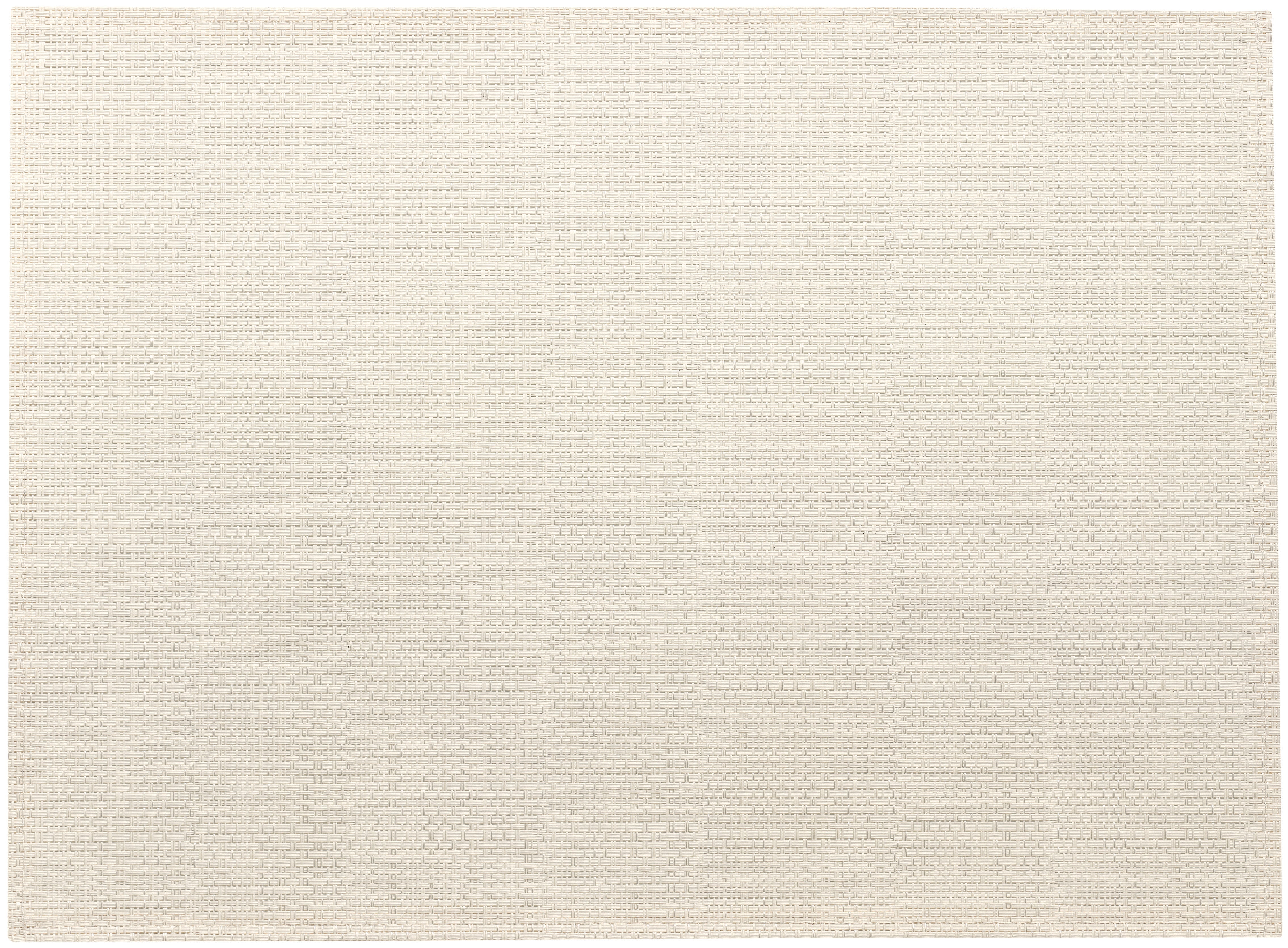 Placemat Set Canna Neige/Argent 33 X 45