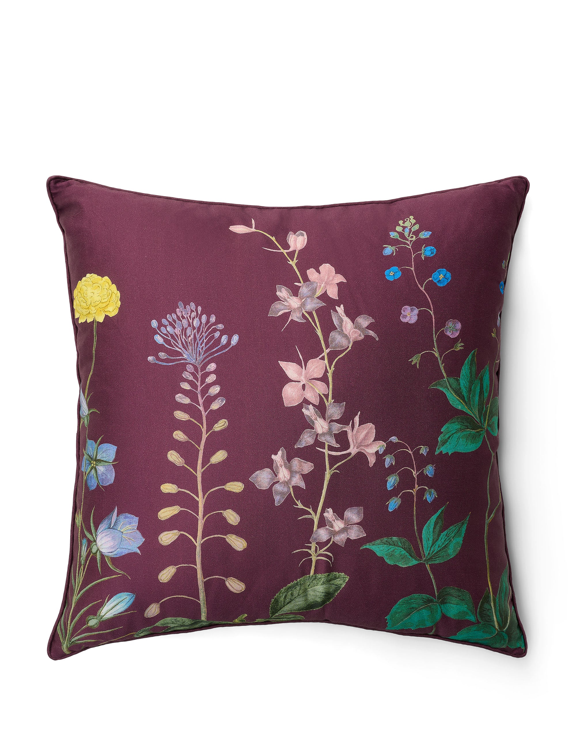 Augustina Sierkussen - 50x50