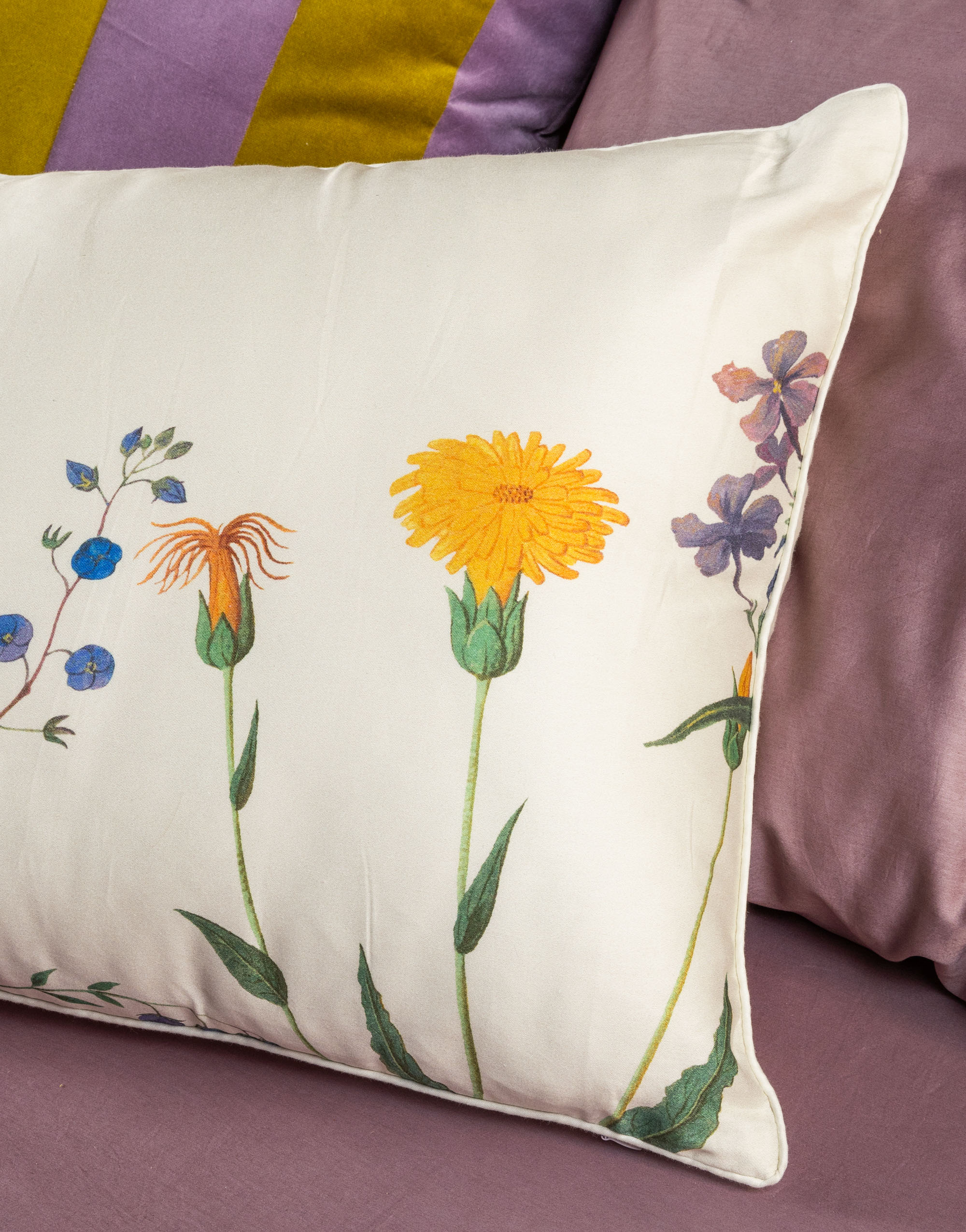 Augustina Sierkussen - 50x50