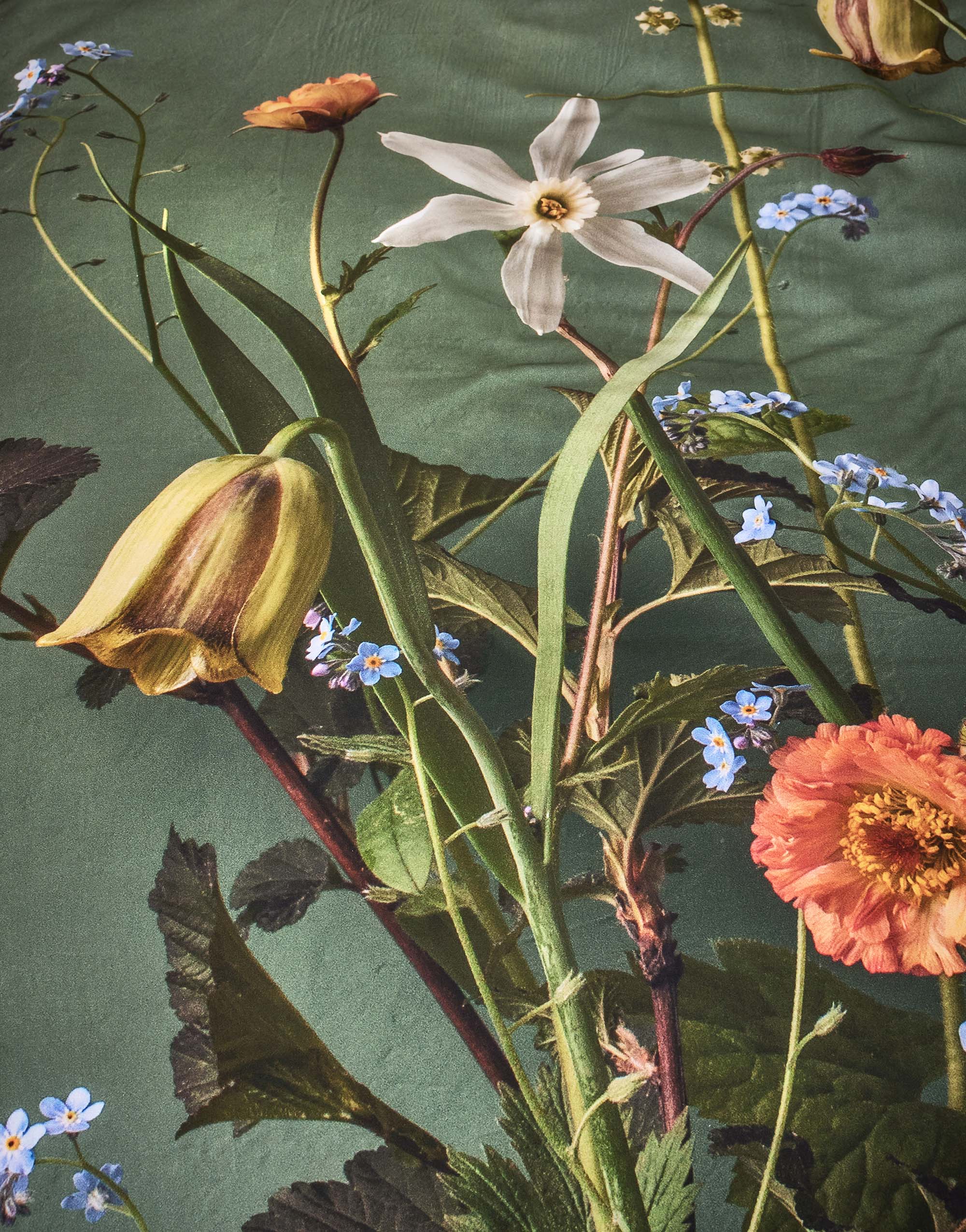 Ficaria Kussensloop - 60x70