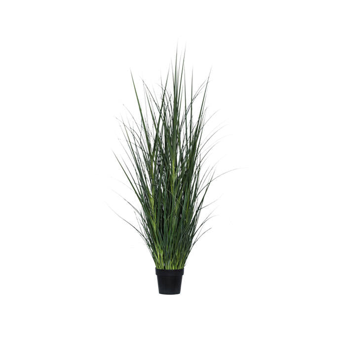 Grass in pot M, Green