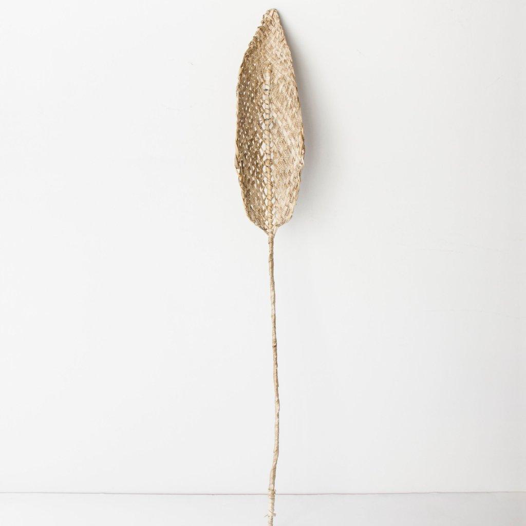 Decoratieve bloem Praia