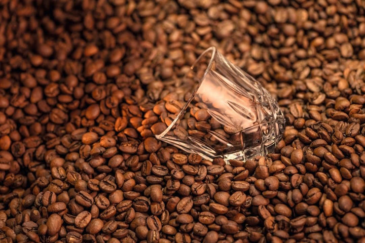 Nachtmann - Noblesse Barista espressoglas 90ml, set van 2
