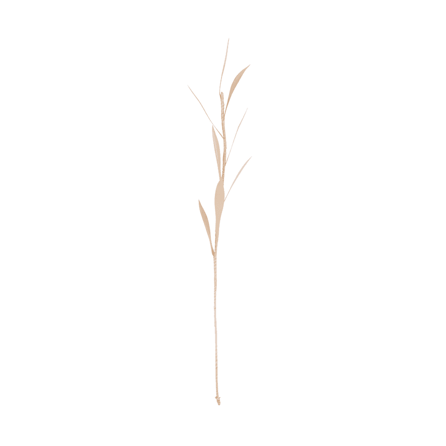 Decoratieve bloem Olive