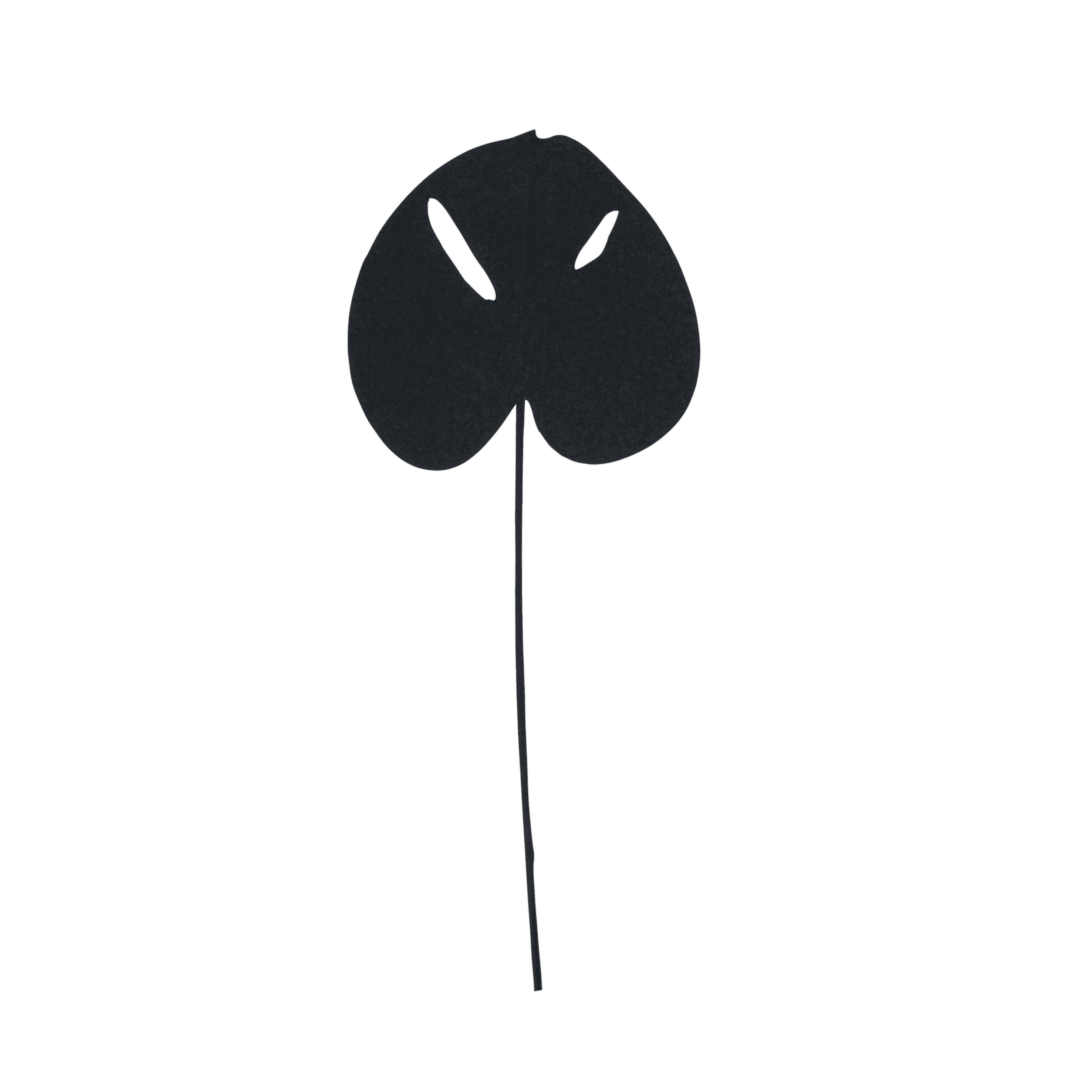 Decoratieve tak Monstera Black
