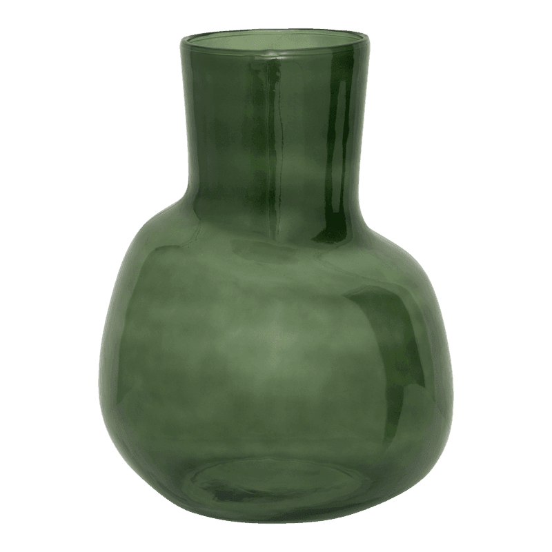 Vaas Arya fir