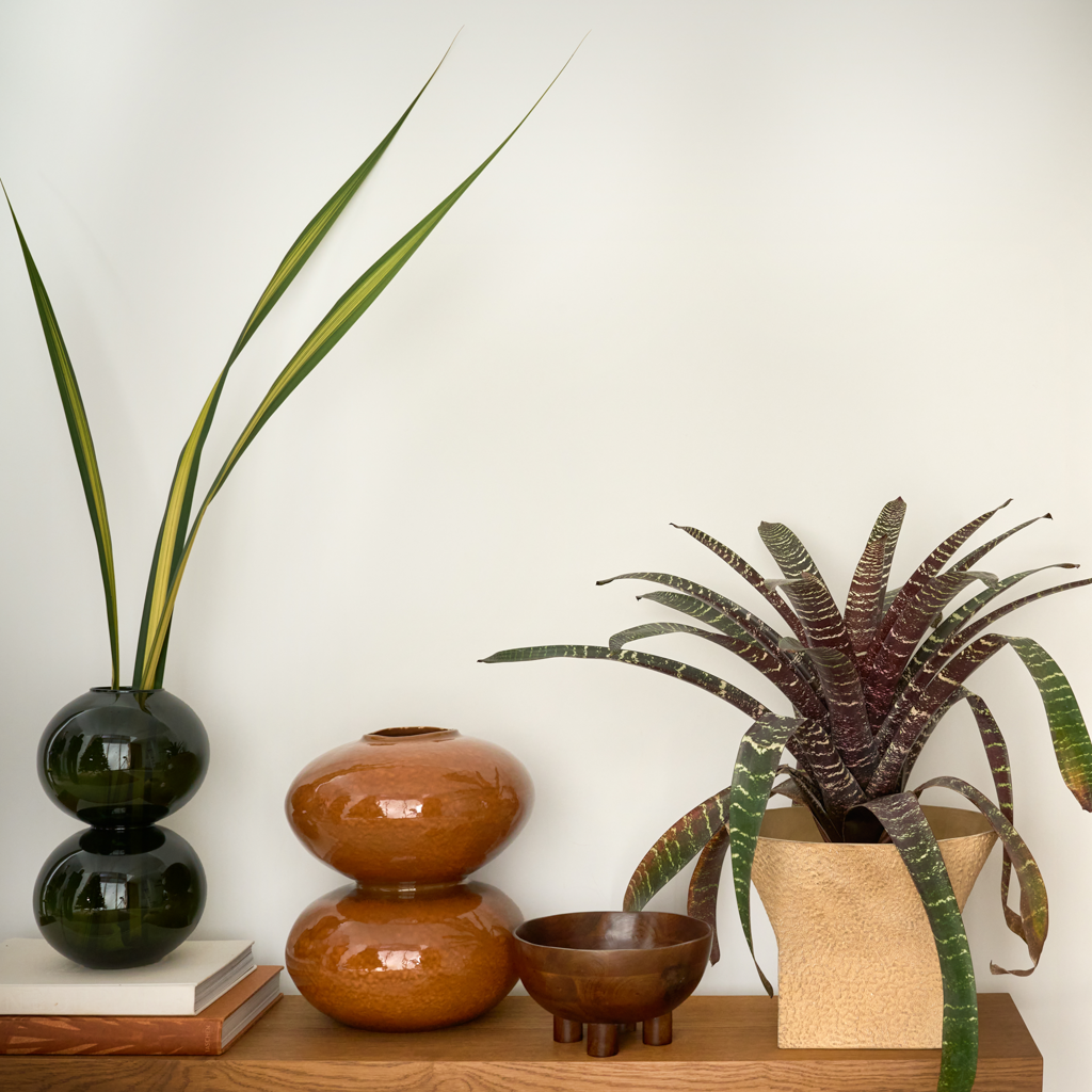 Urban Nature Culture | Vaas Yuki Banana Palm