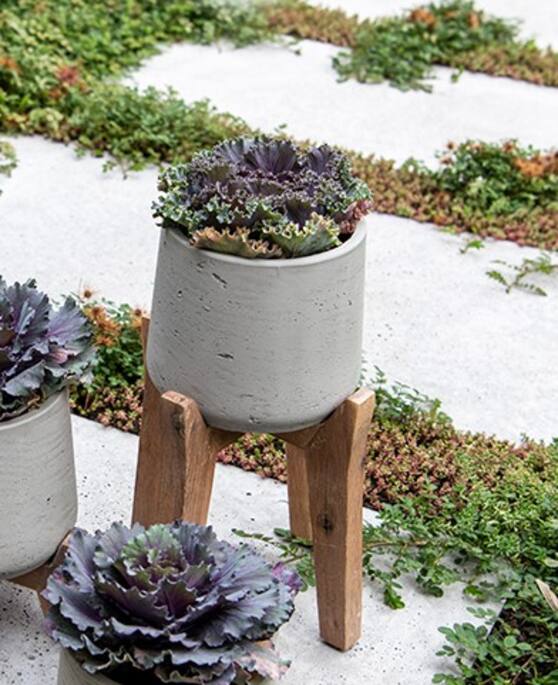 Pottery Pots - Bloempot Patt M (Feet High), Grijs Washed