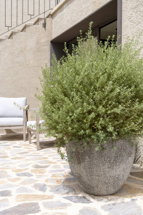Pottery Pots - Bloempot Jesslyn XL, Imperial Wit