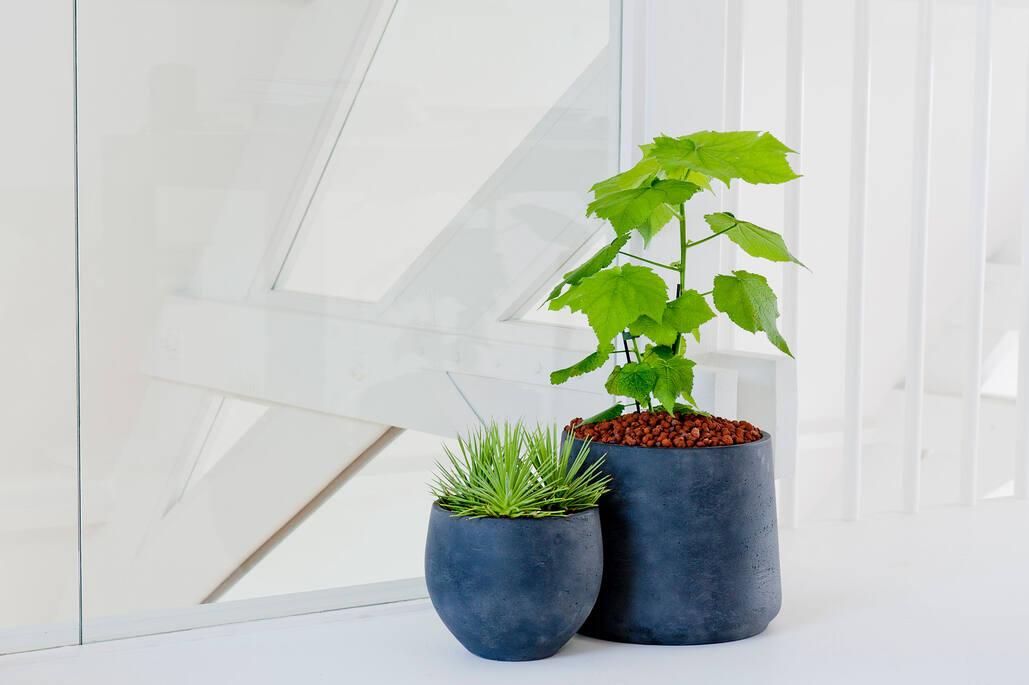 Pottery Pots - Bloempot Orb M, Zwart Washed
