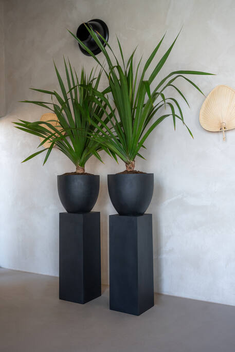 Pottery Pots - Bloempot Jesslyn XS, Zwart
