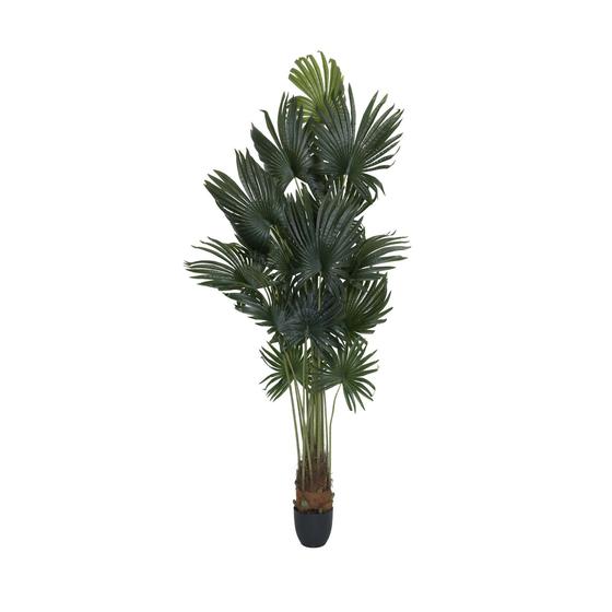 Palm tree M, Green