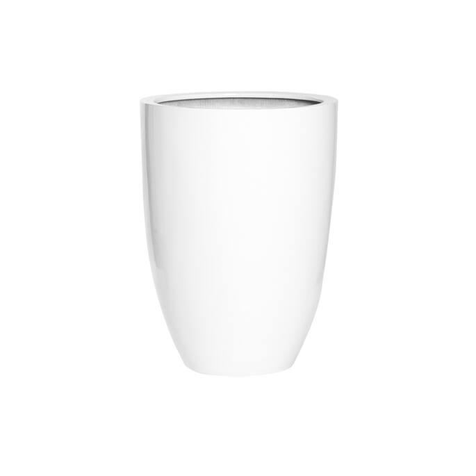 Ben L, Glossy White