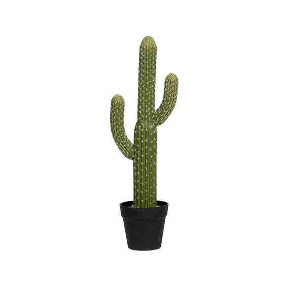 Cactus Saguaro S, Green