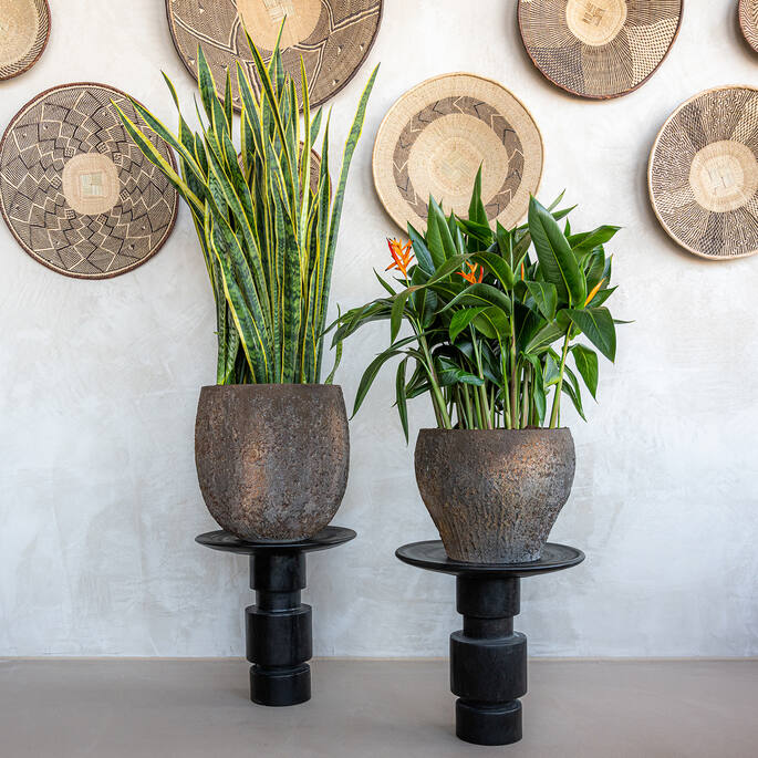 Pottery Pots - Bloempot Claire XS, Imperial Bruin