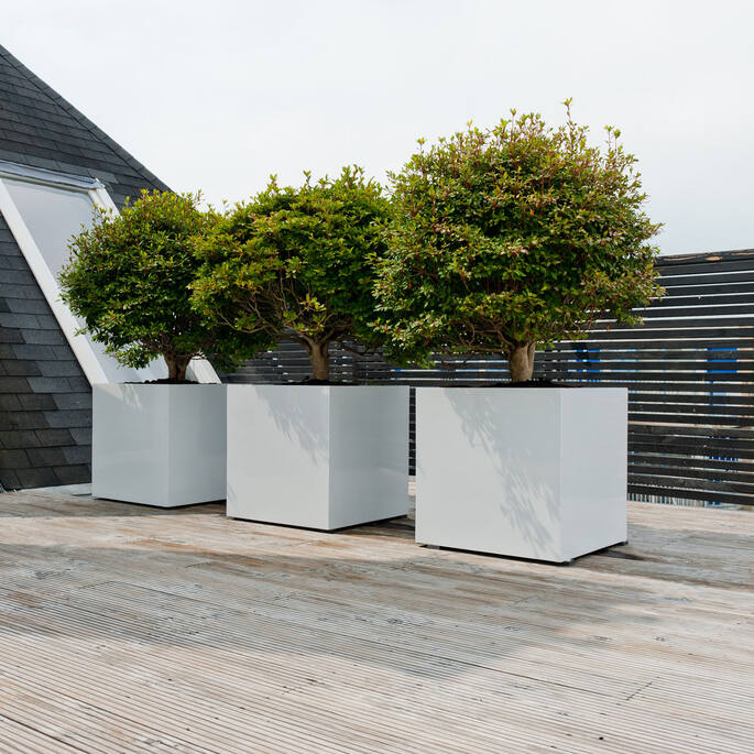 Block XL, Glossy White