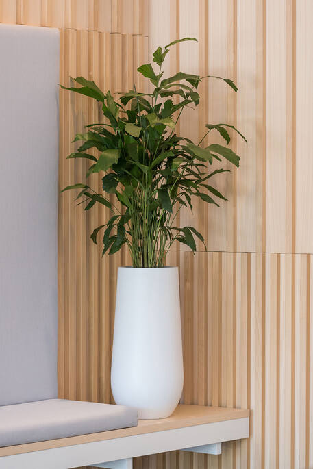 Nax L, Matte White