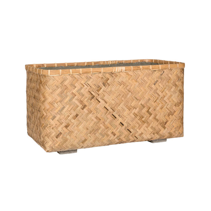 Rafi M, Bamboo