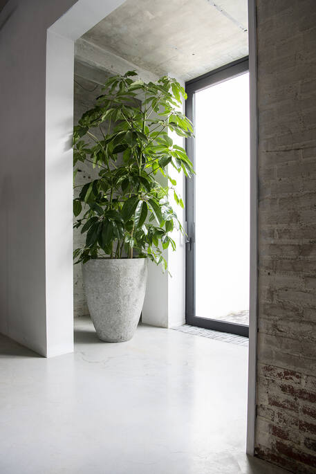 Bernd S, Imperial White
