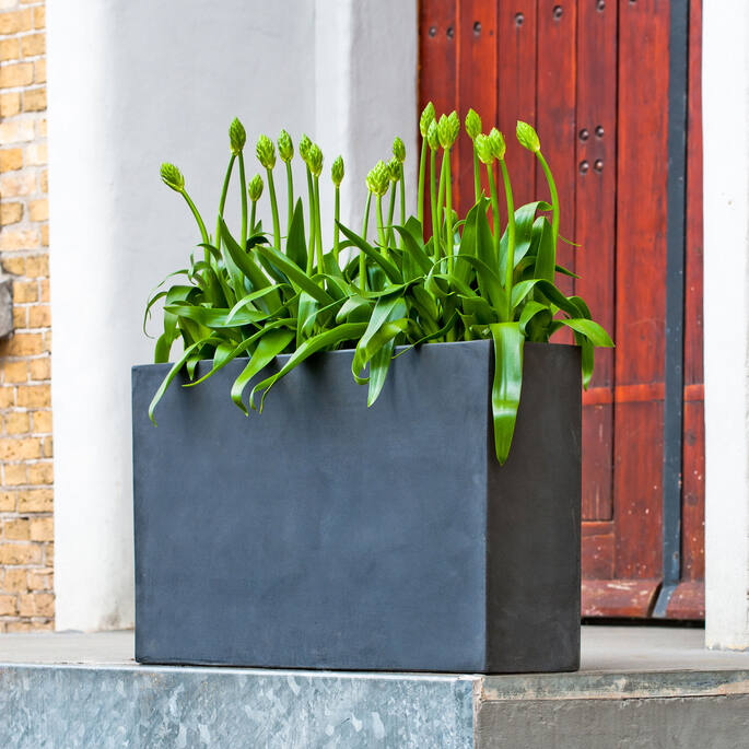 Pottery Pots - Bloempot Jort Slim S, Zwart