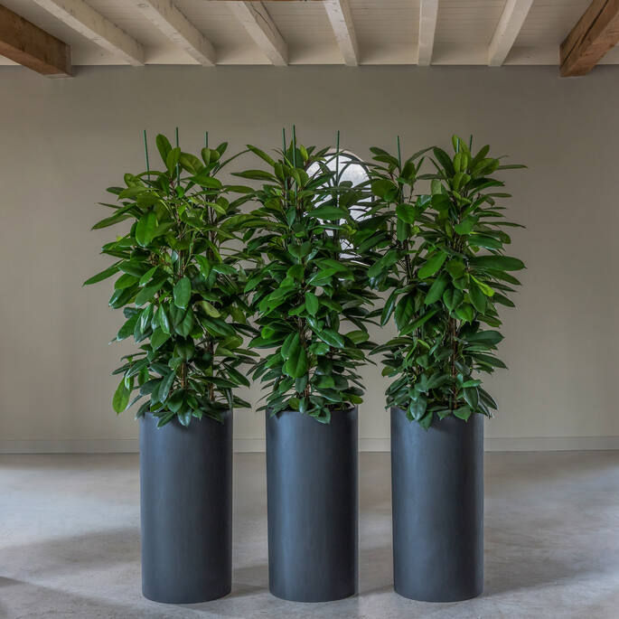 Pottery Pots - Bloempot Klax M, Zwart