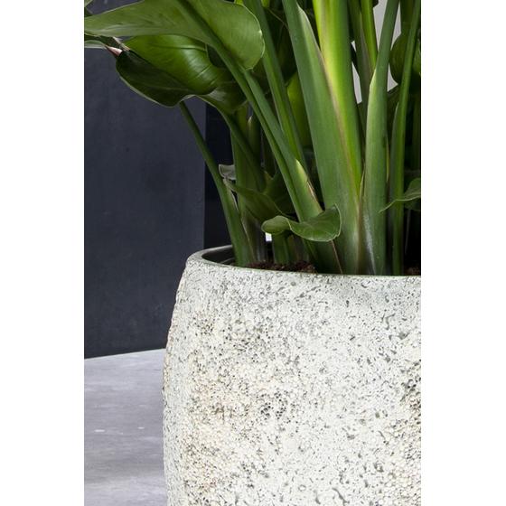 Pottery Pots - Bloempot Tarb XL, Imperial Wit