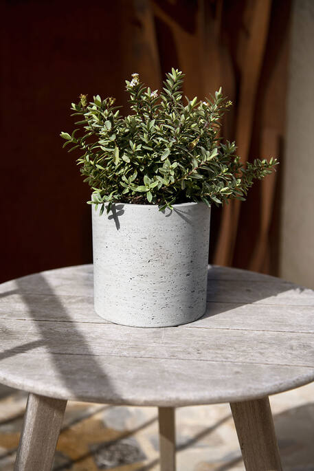 Pottery Pots - Bloempot Max S, Grijs Washed
