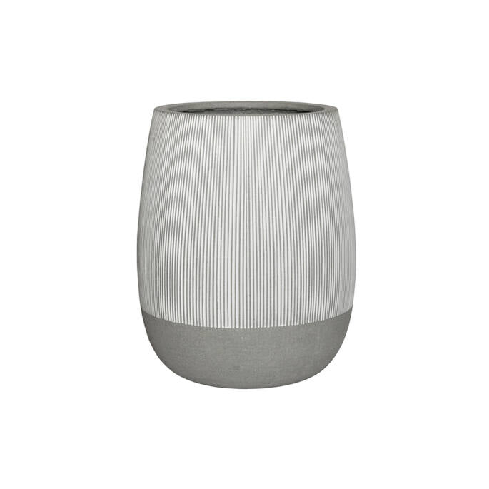 Perry L, White stripe