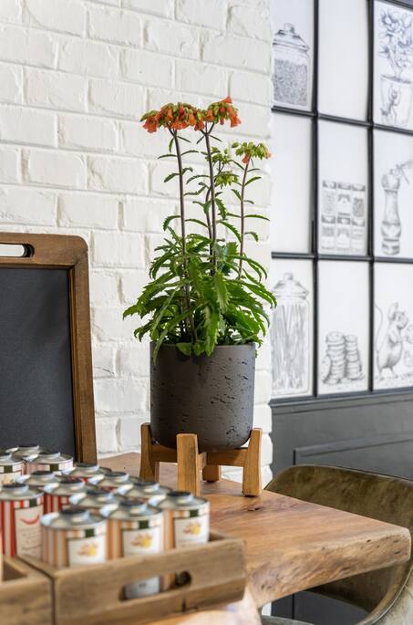Pottery Pots - Bloempot Charlie M (Feet Low), Zwart Washed