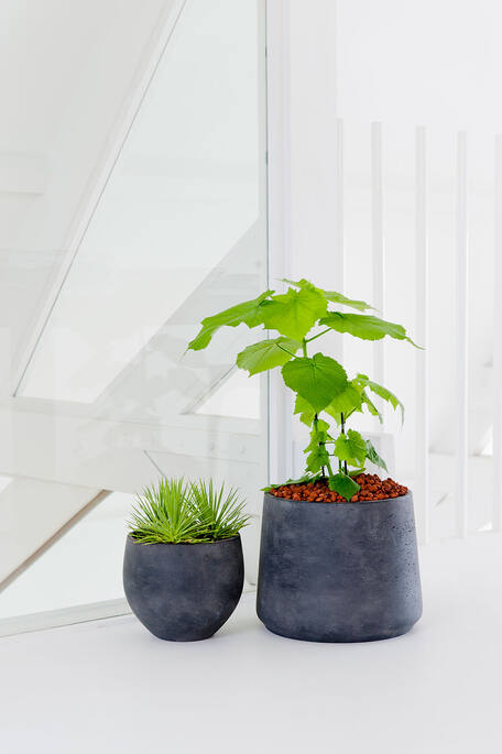 Pottery Pots - Bloempot Patt M, Zwart Washed