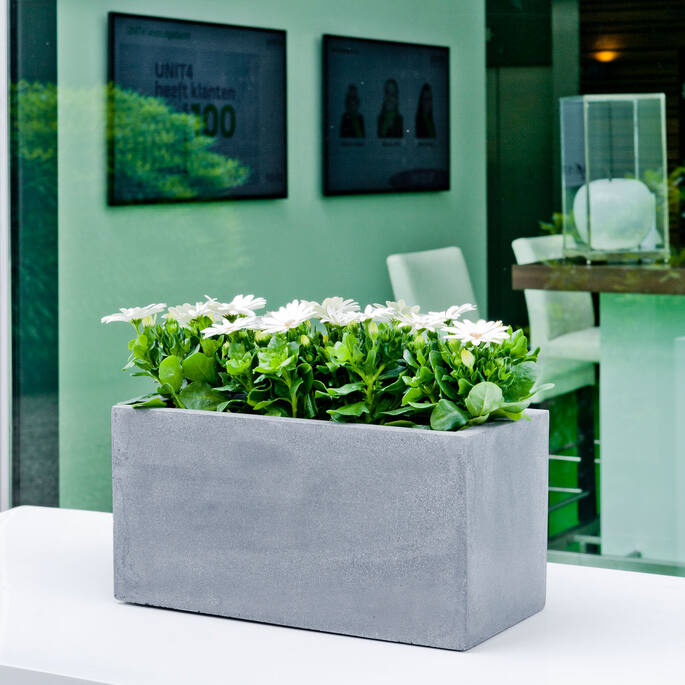 Balcony XS, Grey