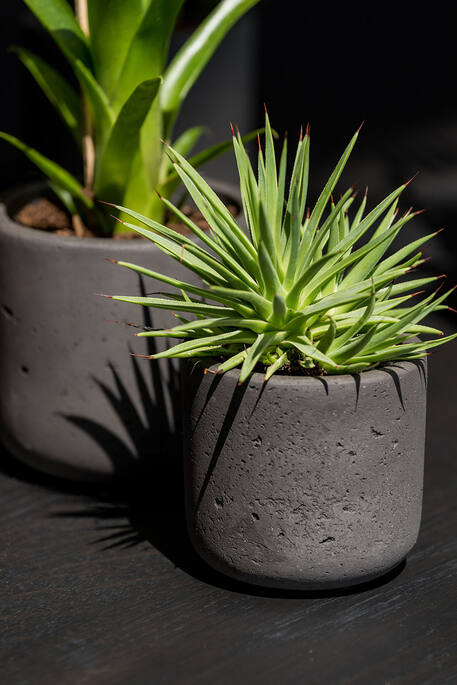 Pottery Pots - Bloempot Charlie XXL, Zwart Washed
