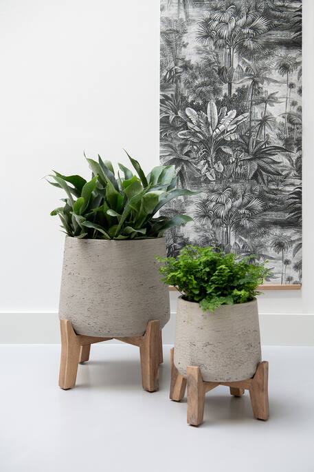 Patt M (Feet Low), Grey Washed