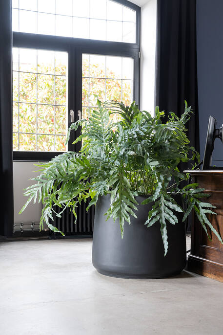 Pottery Pots - Bloempot Patt M, Zwart