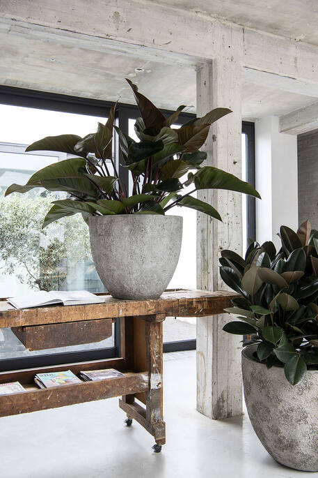Pottery Pots - Bloempot Jesslyn XS, Imperial Wit