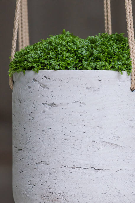 Pottery Pots - Bloempot Charlie XS (hanging) Grey Washed, Grijs Washed