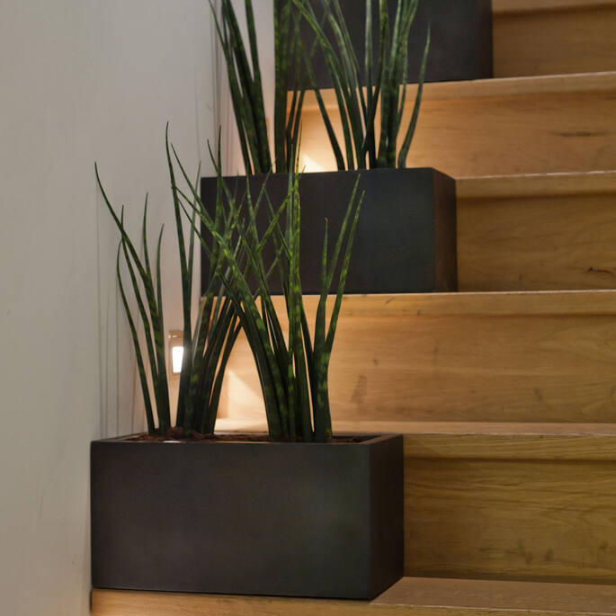 Balcony S, Black