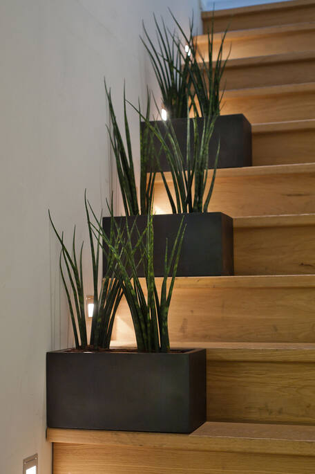 Balcony XS, Black