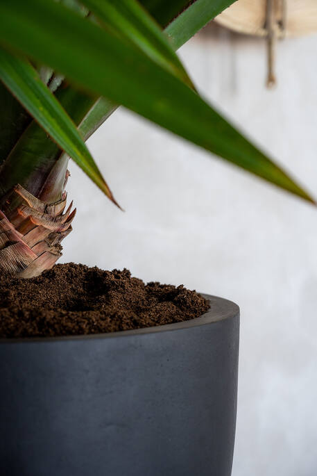 Pottery Pots - Bloempot Dice XL, Zwart
