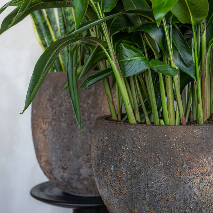 Pottery Pots - Bloempot Claire XS, Imperial Bruin